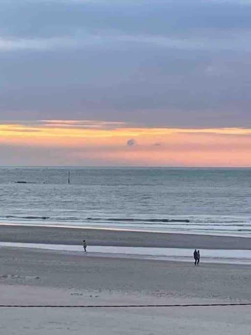 Au 154 Bis - Joli Appartement Avec Grande Terrasse Et Proche De La Plage A Malo Dunkirk Extérieur photo